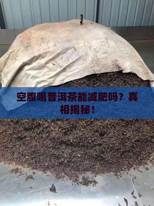 空腹喝普洱茶能减肥吗