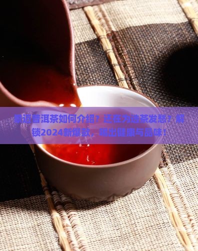 景迈普洱茶如何介绍