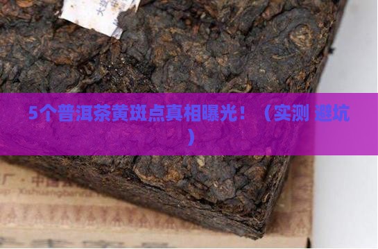 普洱茶有黄斑点
