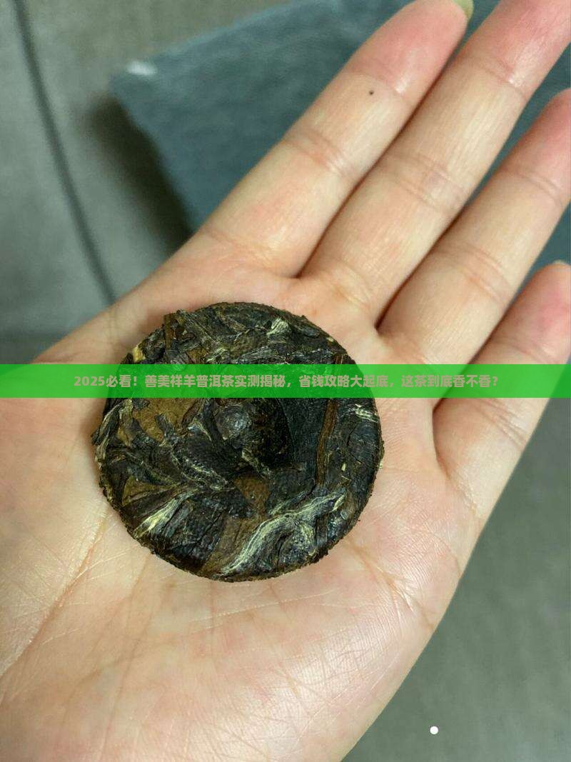 善美祥羊普洱茶