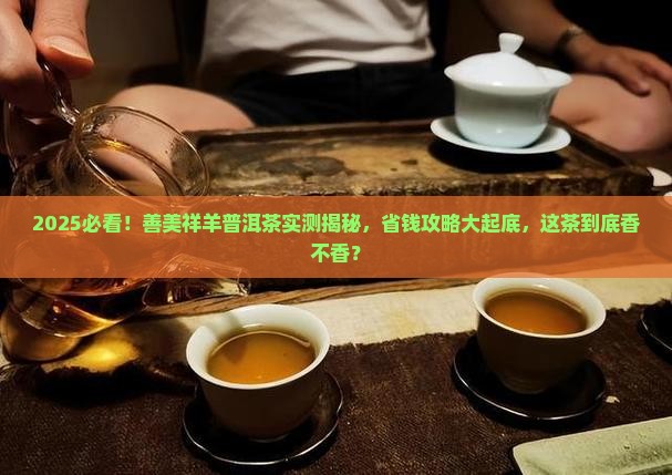 善美祥羊普洱茶