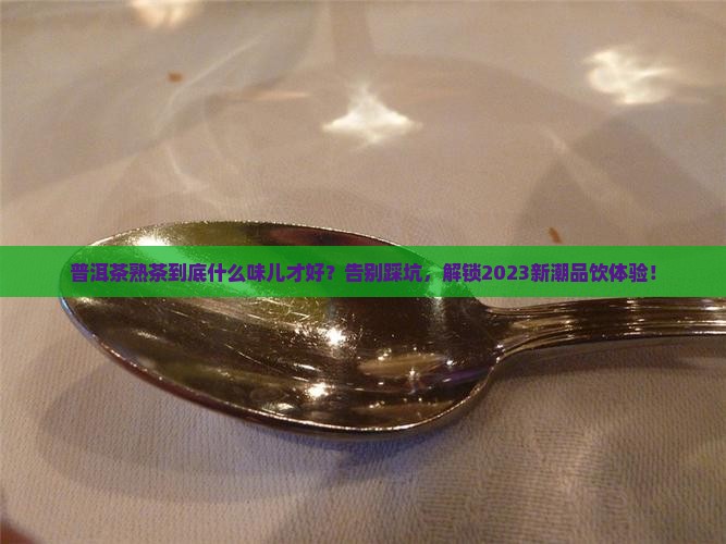 普洱茶熟茶是什么味儿的好