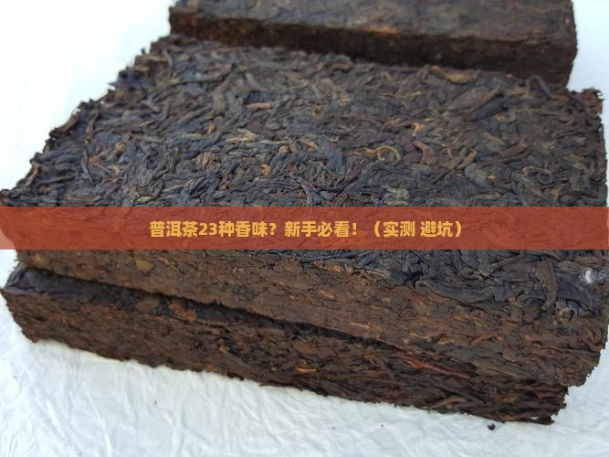 普洱茶23种香味
