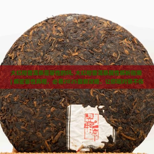 大红柑普洱茶是寒性的吗
