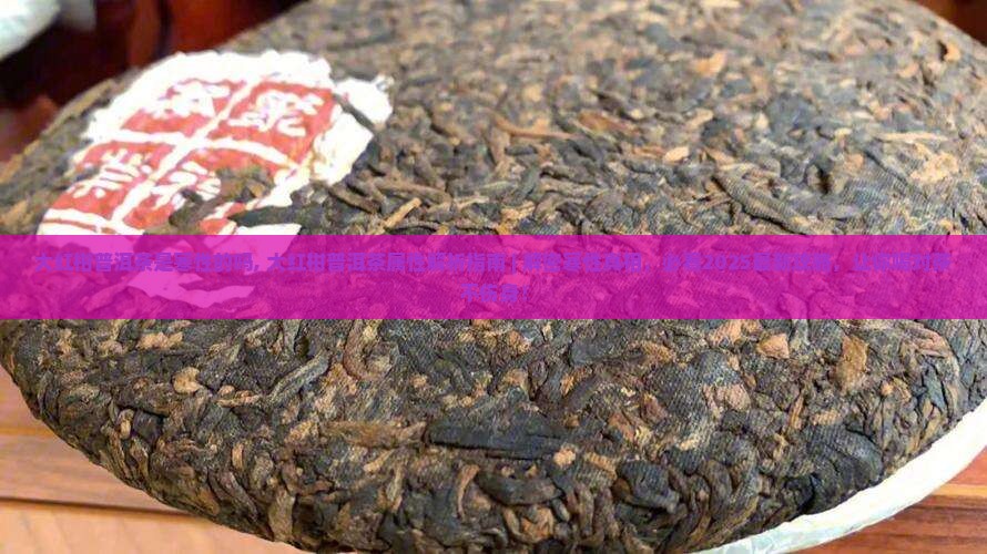 大红柑普洱茶是寒性的吗