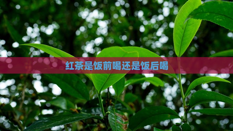 红茶是饭前喝还是饭后喝