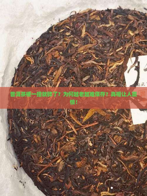 普洱茶梗一捏就碎了
