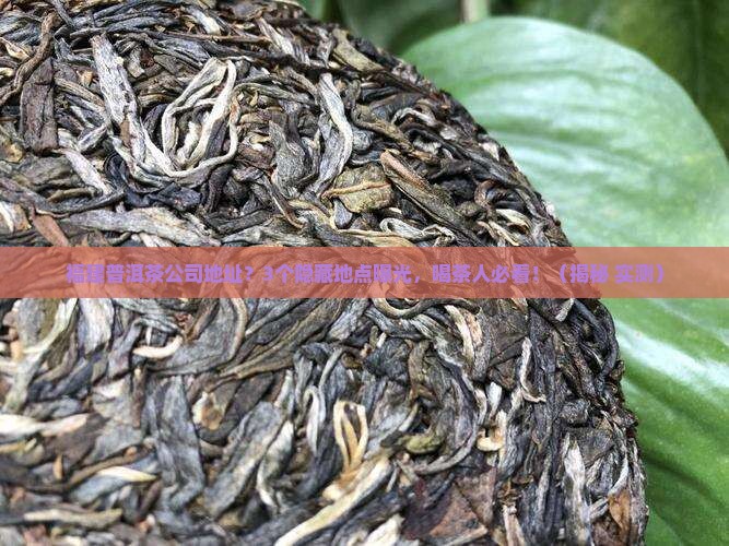 福建普洱茶公司地址