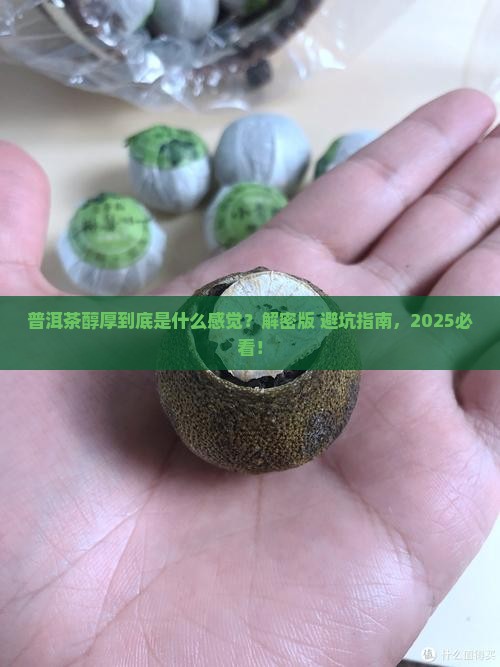 普洱茶醇厚是什么感觉