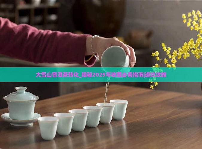 大雪山普洱茶转化