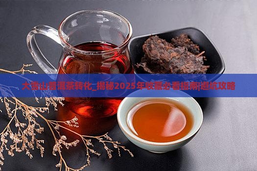 大雪山普洱茶转化