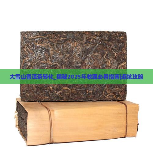 大雪山普洱茶转化