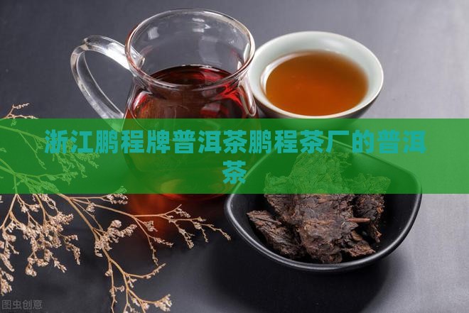 浙江鹏程牌普洱茶