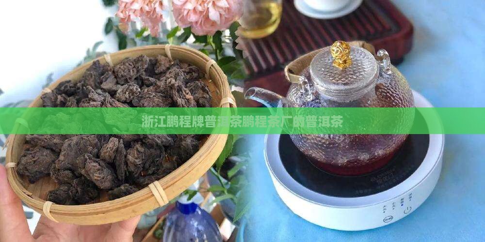 浙江鹏程牌普洱茶