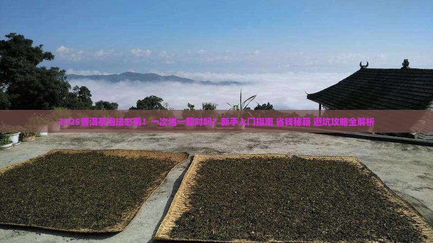 普洱茶是一次泡一颗吗