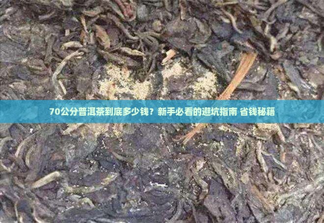 70公分的普洱茶价格多少
