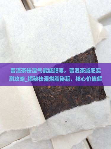 普洱茶祛湿气能减肥嘛