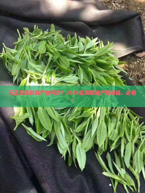 元正红茶产地哪里