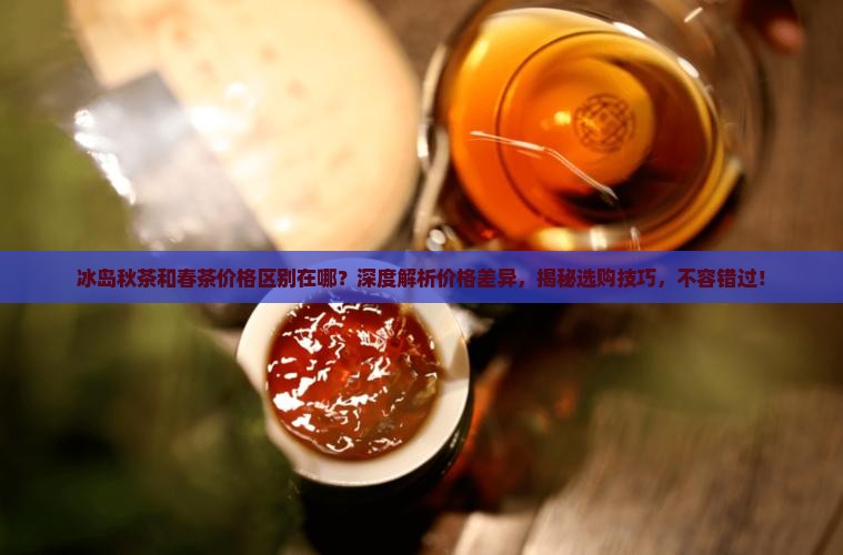冰岛秋茶和春茶价格区别在哪