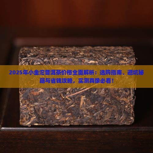 小金沱普洱茶什么价格