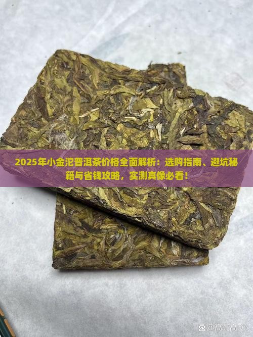 小金沱普洱茶什么价格