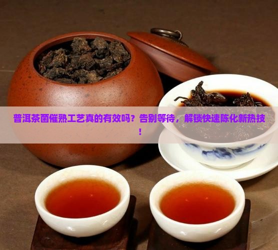 普洱茶菌催熟工艺