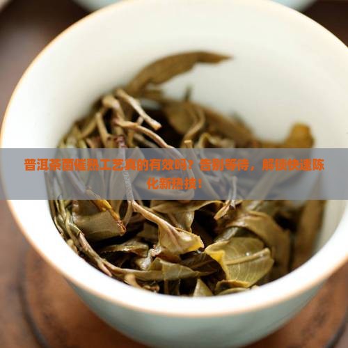 普洱茶菌催熟工艺