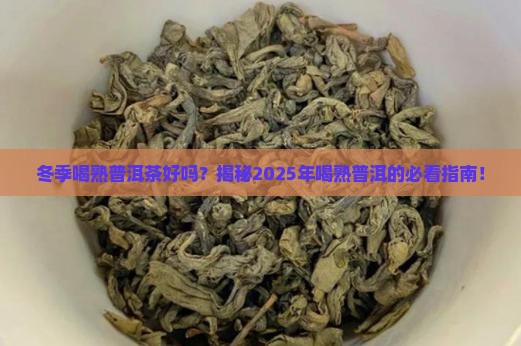 冬季喝熟普洱茶好吗
