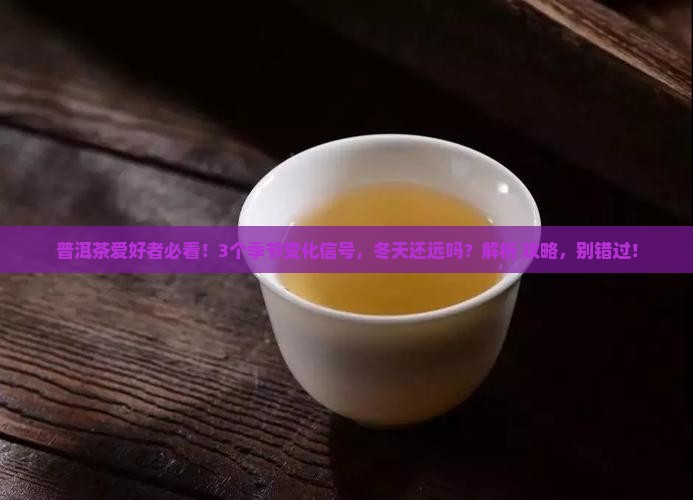 普洱茶秋来了冬也不远了