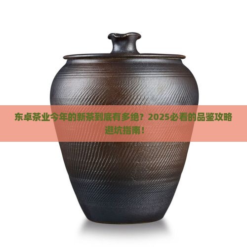 东卓茶业今年的新茶