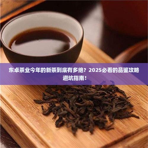 东卓茶业今年的新茶