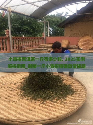 小青柑普洱茶一斤有多少粒