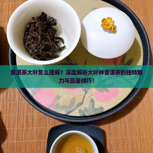 普洱茶大叶怎么理解