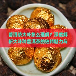 普洱茶大叶怎么理解