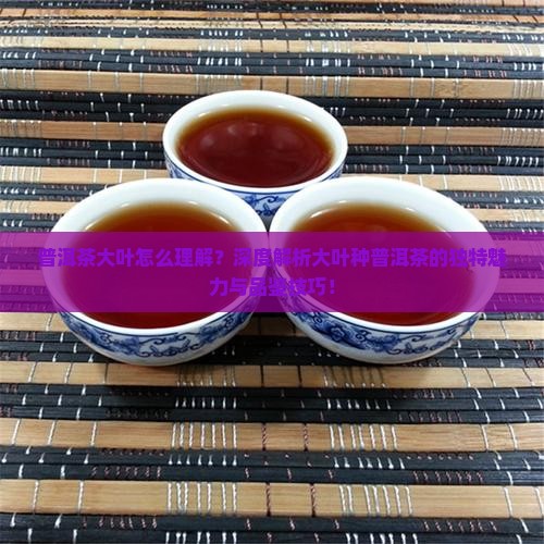 普洱茶大叶怎么理解