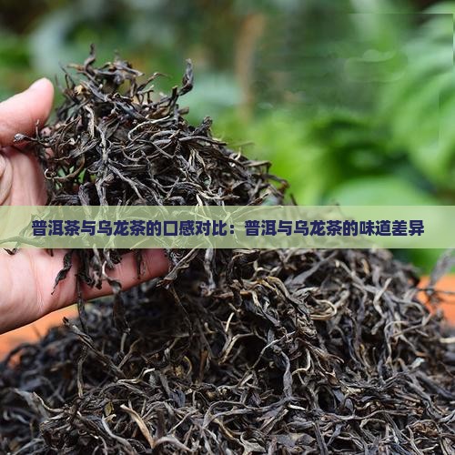 普洱茶和乌龙茶什么味道