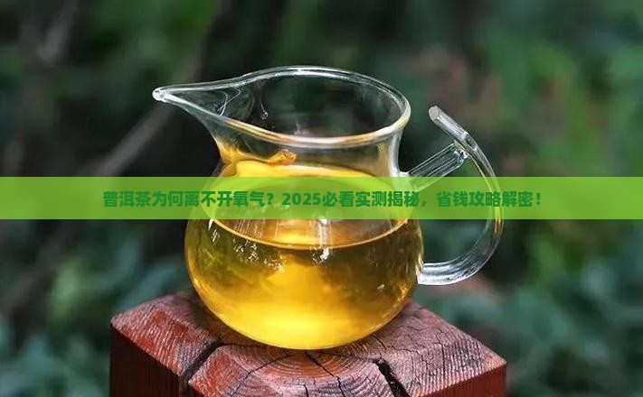 普洱茶需要氧气