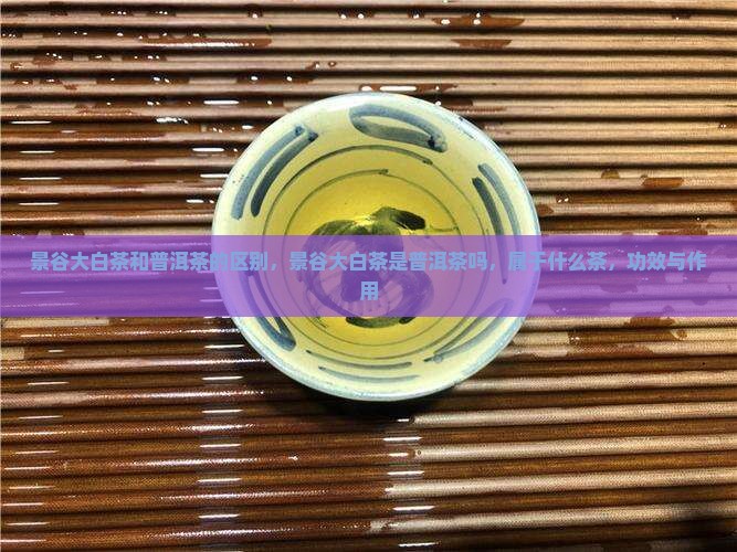 景谷大白茶和普洱茶的区别