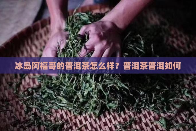 冰岛阿福哥的普洱茶怎么样