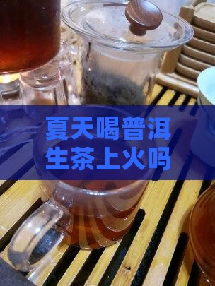 夏天喝普洱生茶上火吗