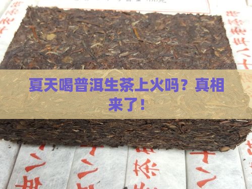 夏天喝普洱生茶上火吗