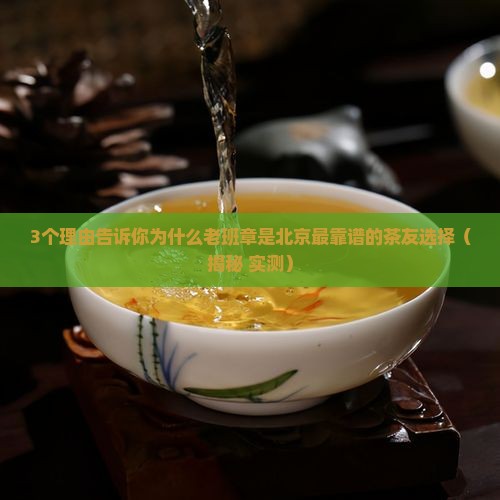 北京可靠的老班章