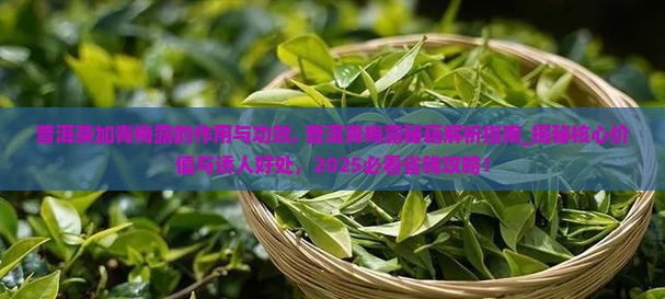 普洱茶加青梅露的作用与功效