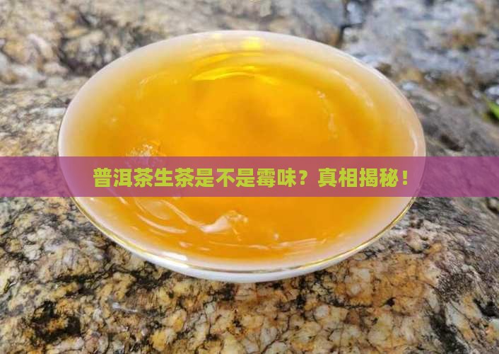 普洱茶生茶是不是霉味