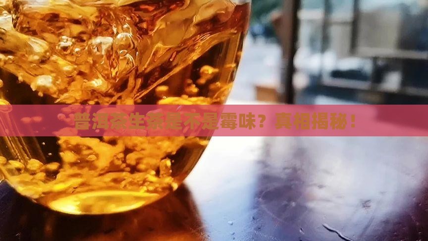 普洱茶生茶是不是霉味