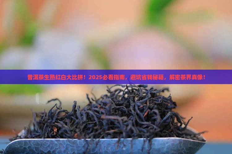普洱茶生茶熟茶红茶白茶