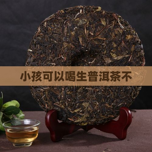 小孩可以喝生普洱茶不