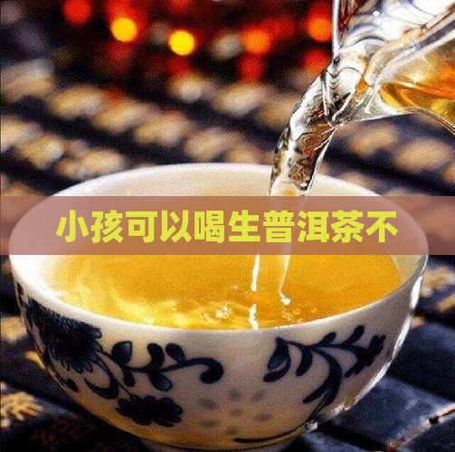 小孩可以喝生普洱茶不