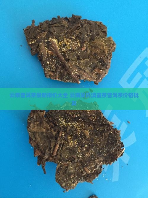 云南吴氏滇益茶普洱茶价格