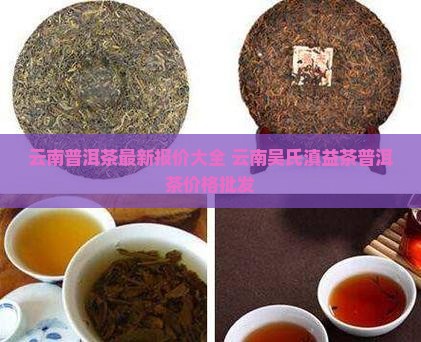 云南吴氏滇益茶普洱茶价格